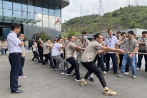 /uploads/image/2024/01/23/1705980395411974/3-300x200.jpg 3-300x200.jpg